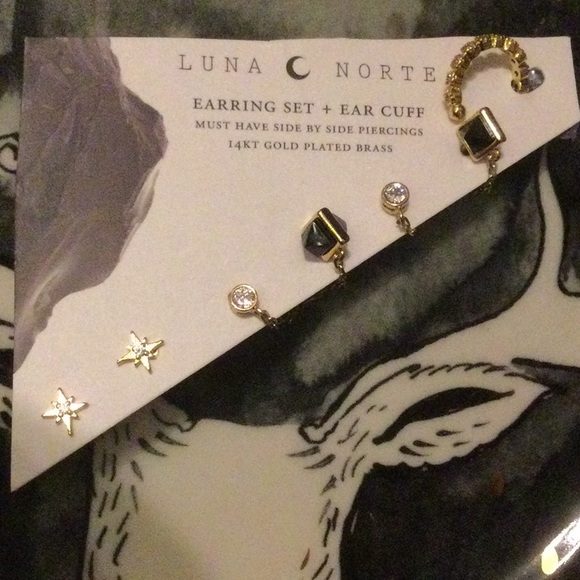 NWT Free People x Luna Norte Earring Set - Picture 2 of 7